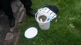 Pachatel CB drogy II.