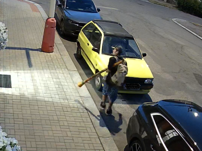 Pátrání po totožnosti (2).png