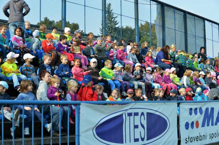 Pes - pomocník všech