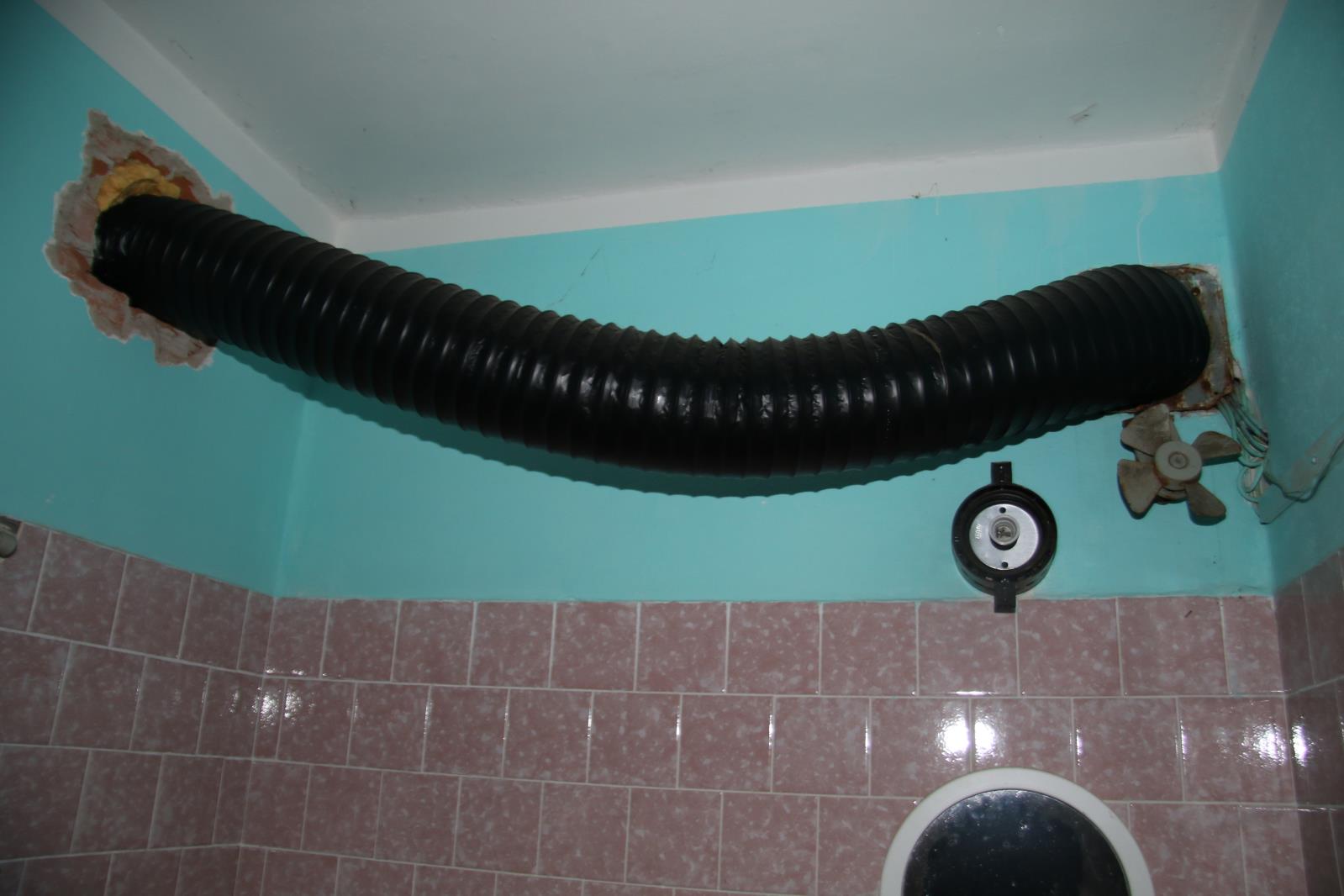 Pěstírna Trutnovsko 5