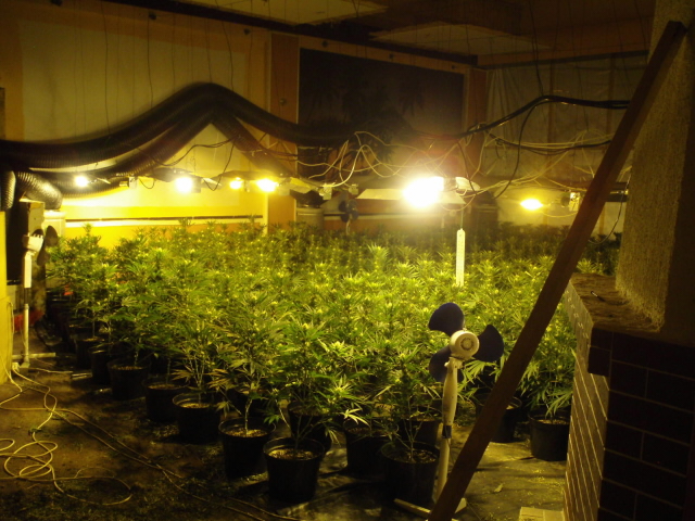 Pěstírna a technologické zařízení