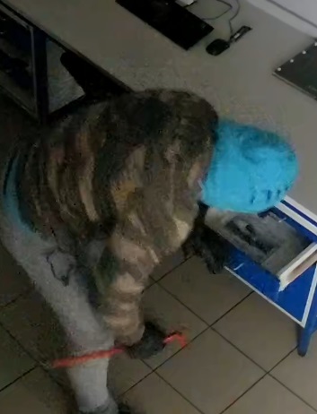 Podezřelý muž (3)