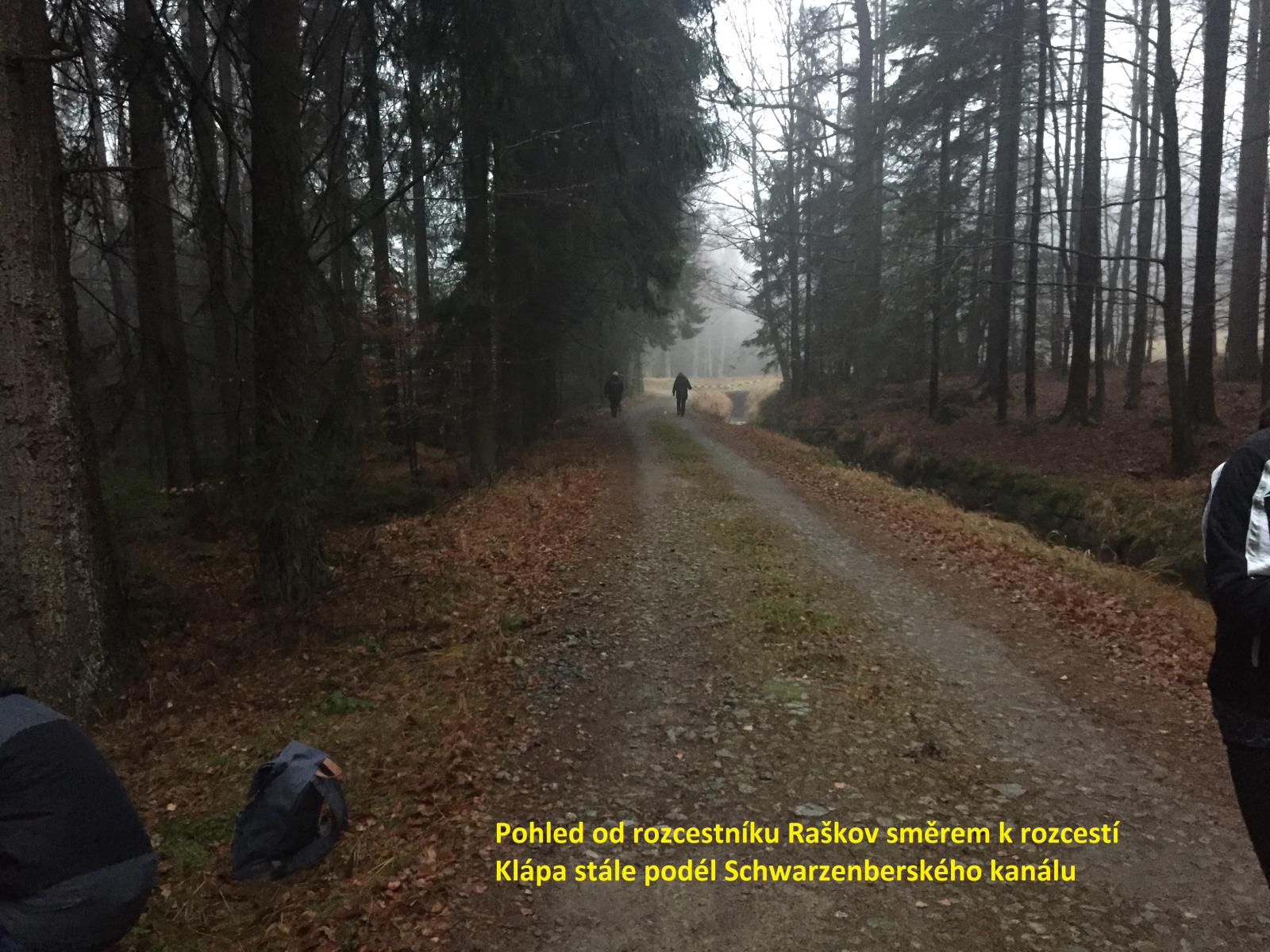 Pohled od rozcestníku Raškov směrem k rozcestníku Klápa - vpravo Schwarzenberský kanál VI.JPG