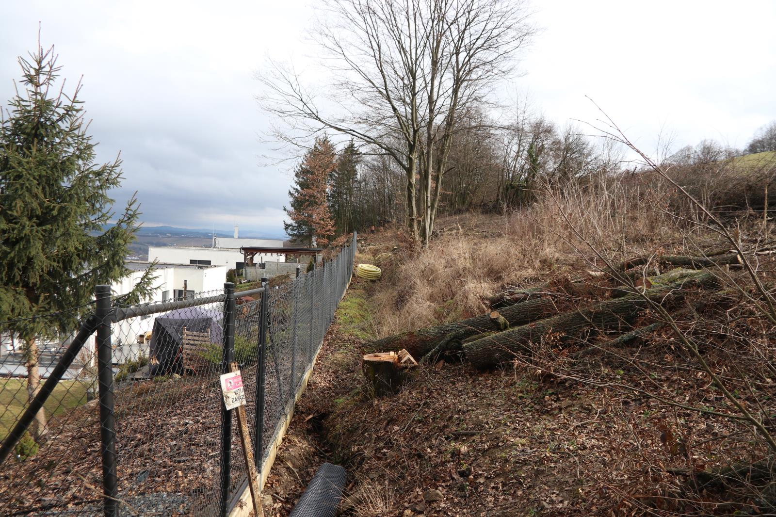 Pokácené stromy 1.JPG