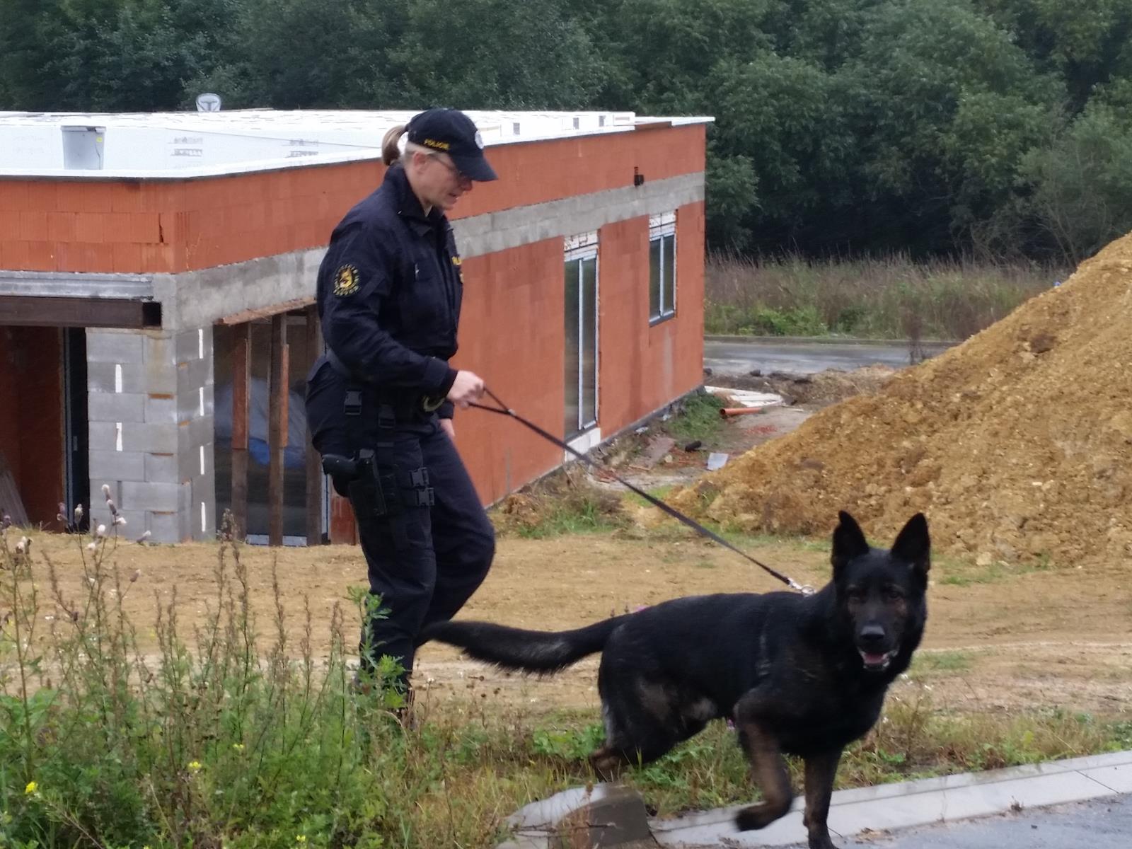 Pol