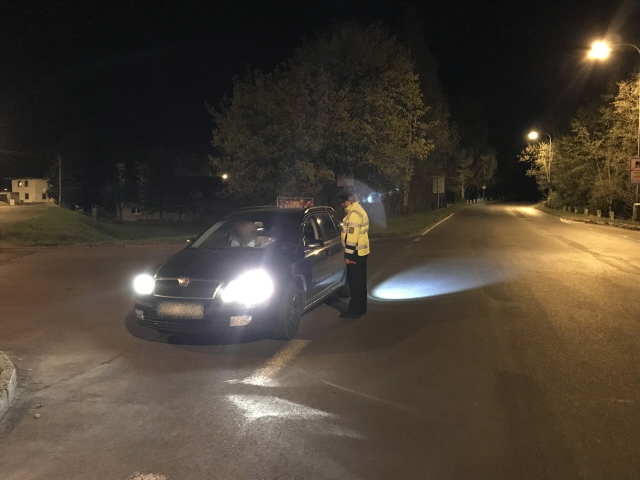 Policejní akce „Bezpečná lokalita“