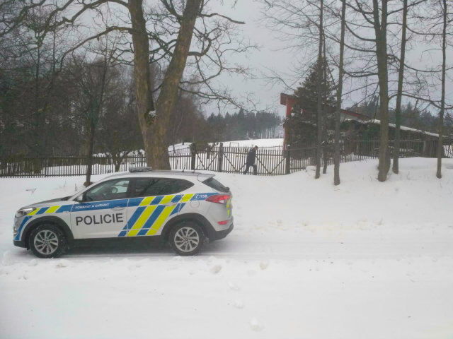 Policejní kontroly
