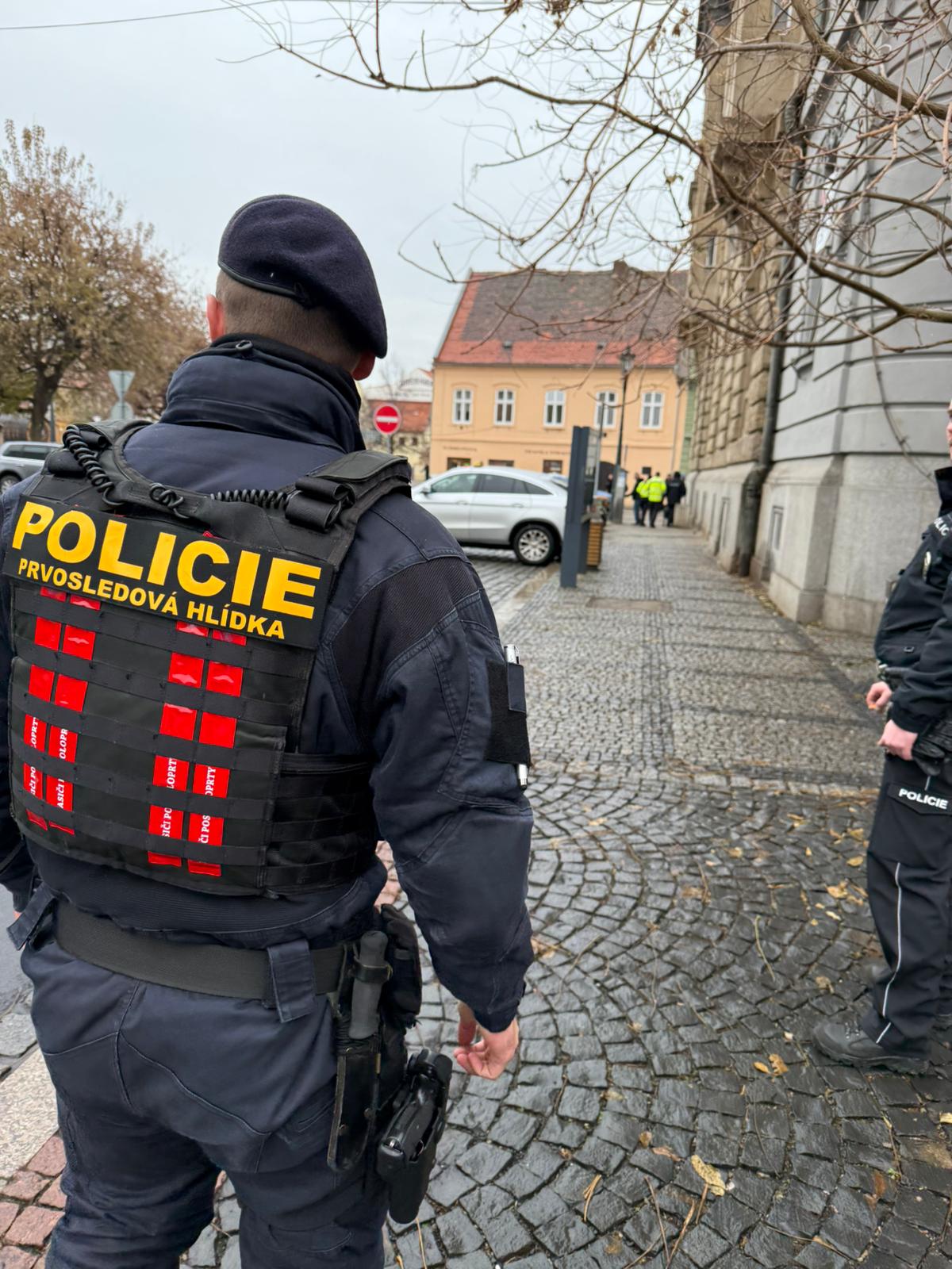 Policejní kontroly.jpeg