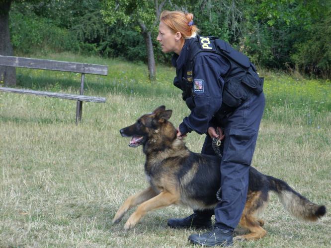 Policejní návštěva na příměstském táboře