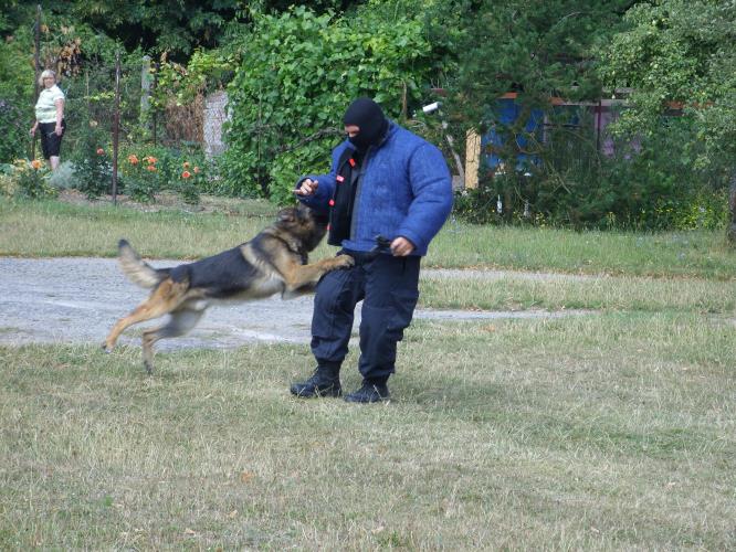 Policejní návštěva na příměstském táboře