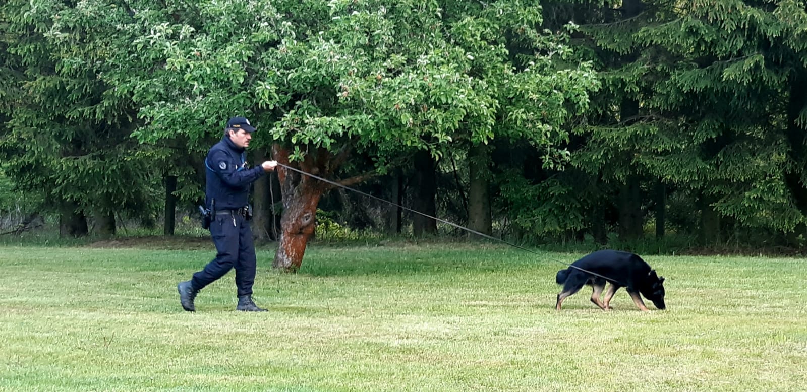 Policejní pes Karo