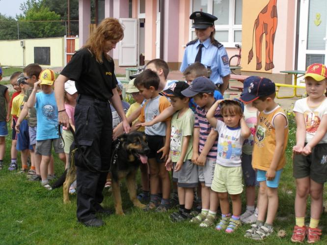 Policejní pes měl úspěch
