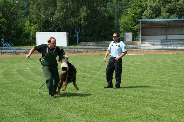 Policejní psovodi.JPG