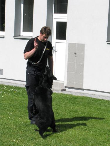 Policie v 15. MŠ 