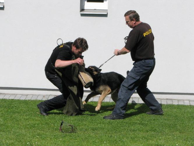 Policie v 15. MŠ 