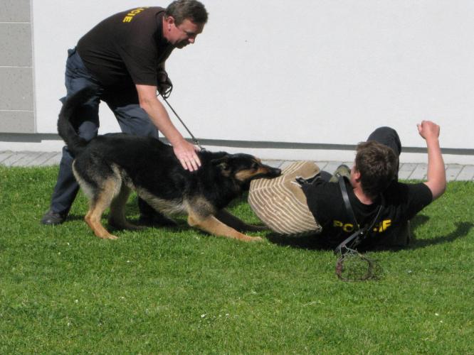 Policie v 15. MŠ 