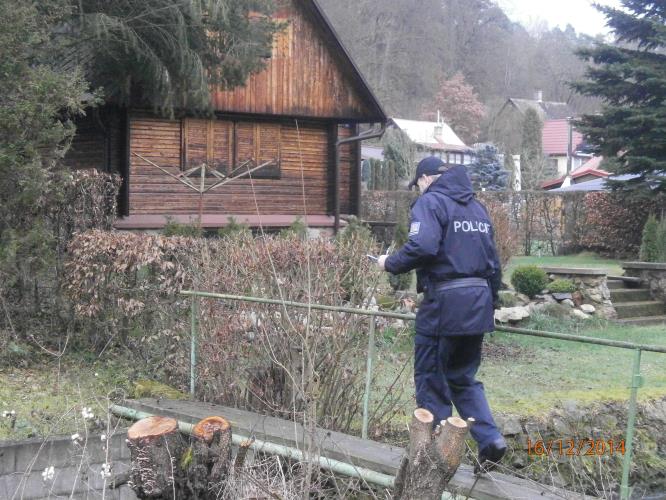 Policista při kontrole