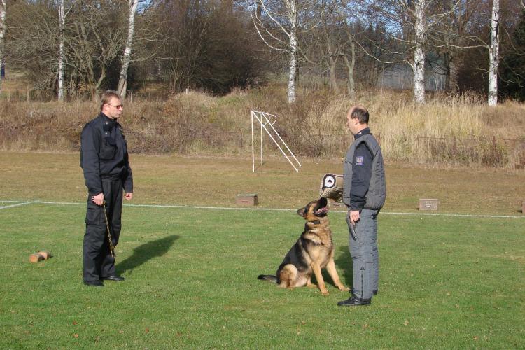 Policista-sl.pes-pachatel.JPG