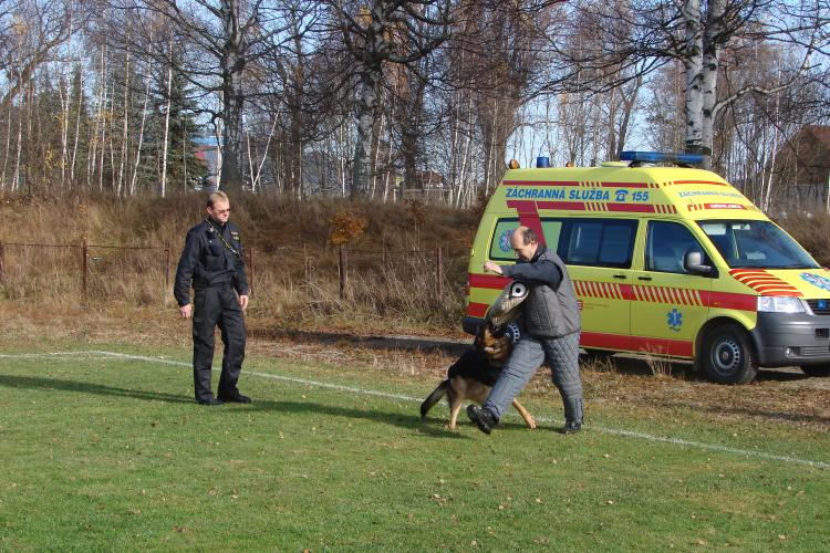 Policista-služ.pes-pachatel.JPG