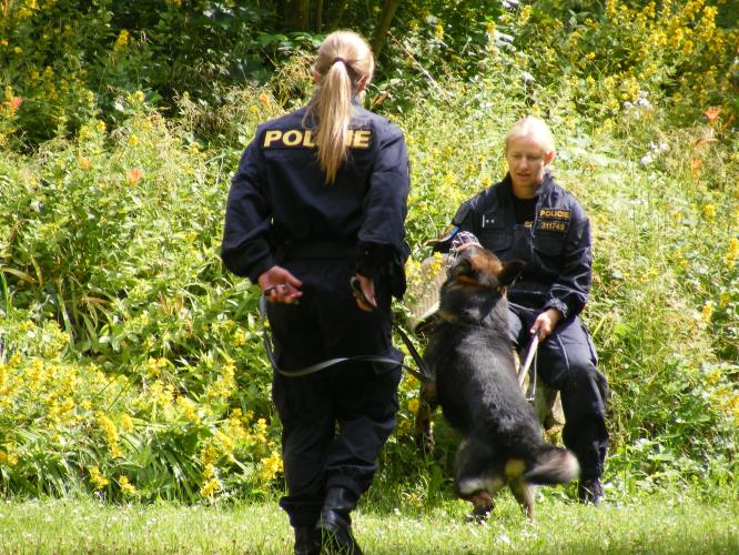 Policisté u dětí z DD a MŠ v Ledcích