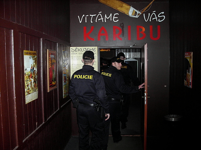 Policisté v akci