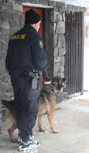 Pomáhali i policejní psi.jpg