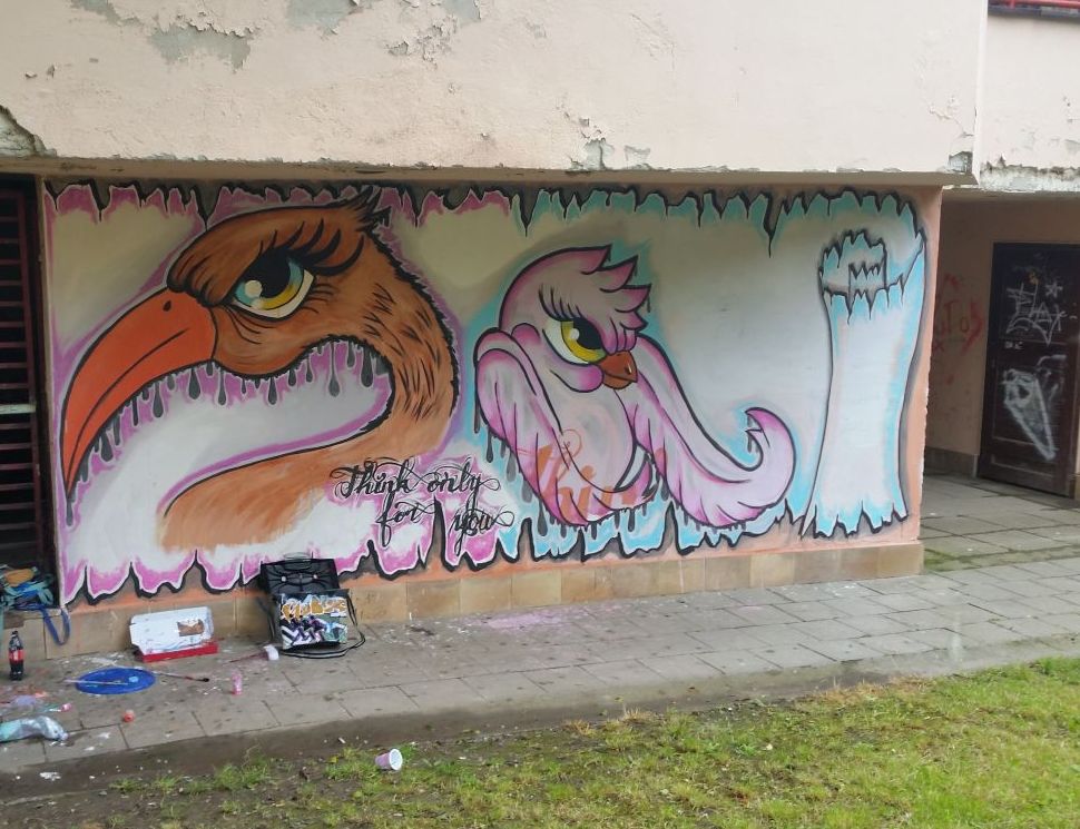 Pomalovaná stěna.jpg