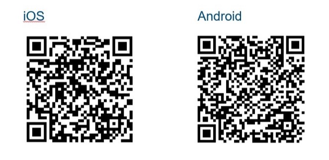 Pomněnkový den 2024