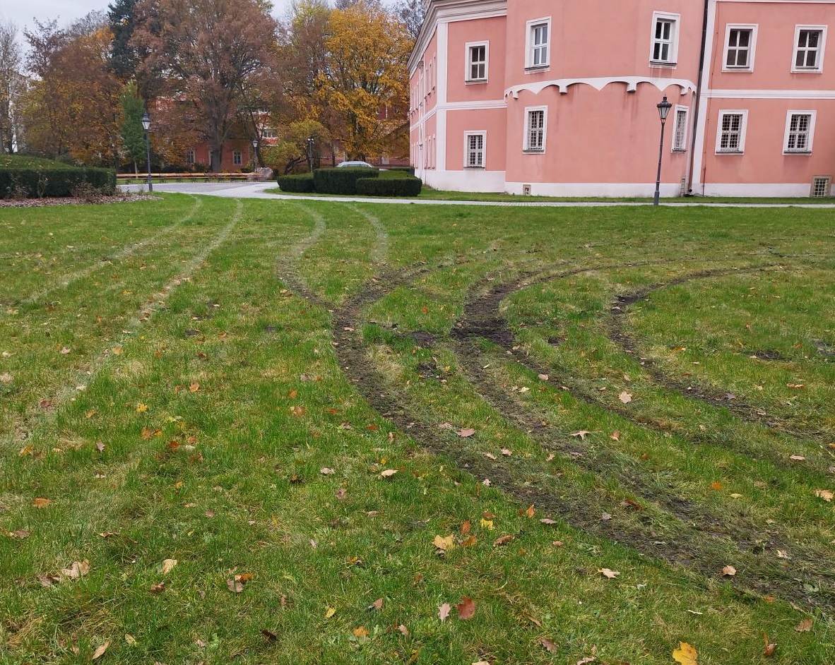 Poničený travnatý porost
