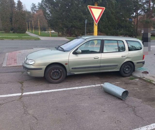 Popelnice u vozidla.jpg
