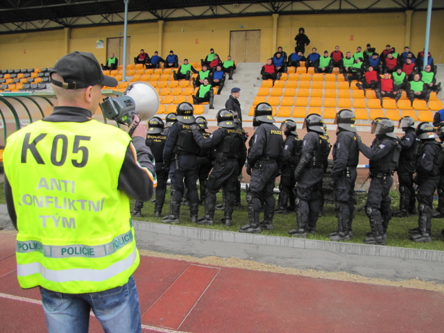 Pořádková jednotka