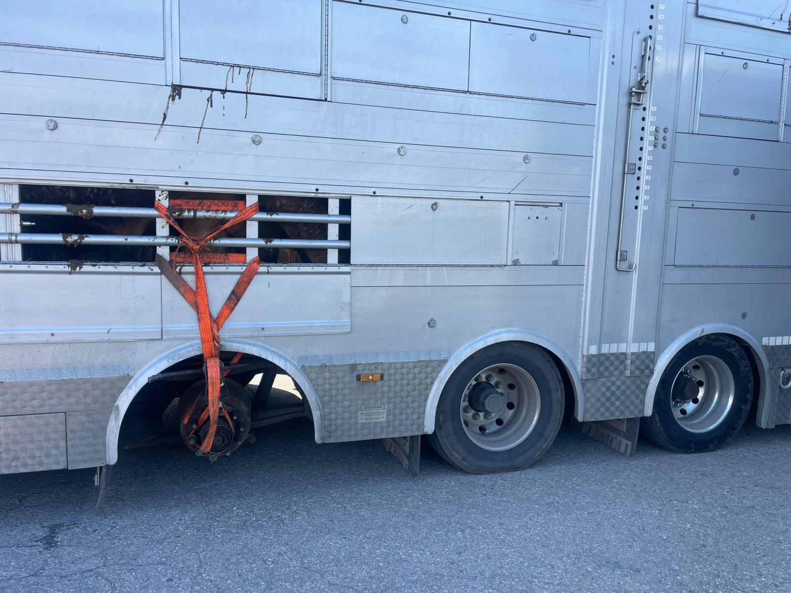 Poškozený návěs na převoz skotu 1.jpeg