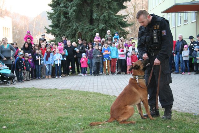 Poslušnost policejních psů.JPG