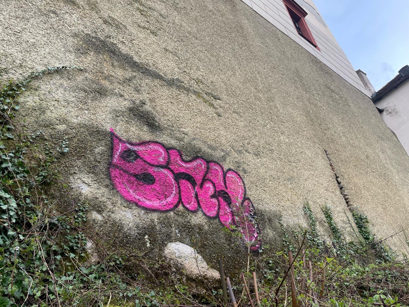 Posprejovaná fasáda zámku v Opočně