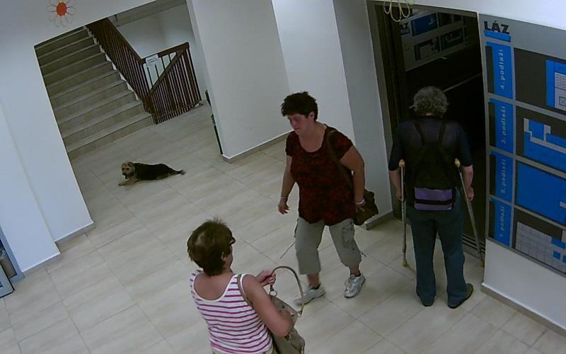 Poznáte ženu na fotografii?