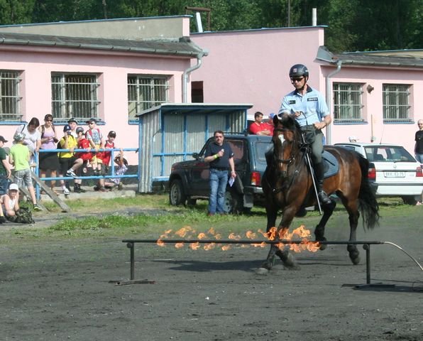 Práce jízdní policie.JPG