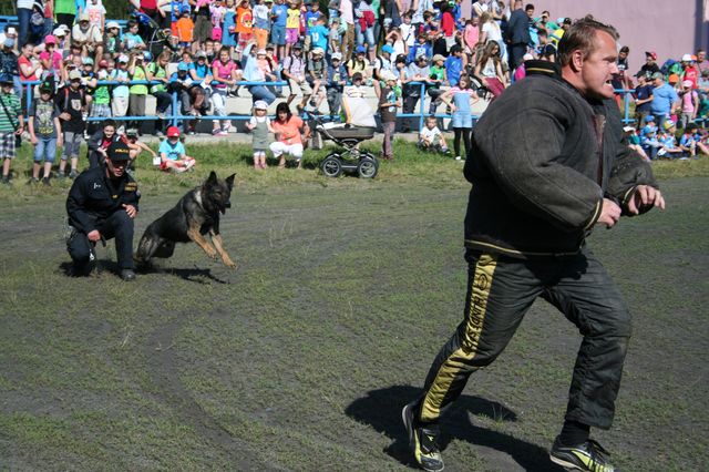 Práce policejních psovodů2.JPG