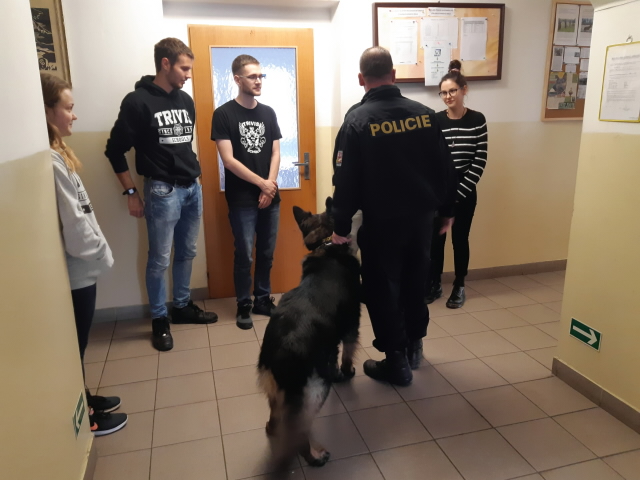 Praxe studentů