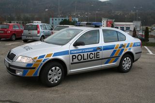 Předávání aut 1.jpg