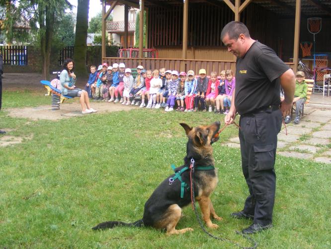 Předškoláci shlédli ukázky výcviku policejních psů.JPG