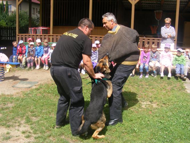 Předškoláci shlédli ukázky výcviku policejních psů.JPG
