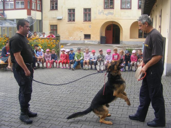 Předškoláci shlédli ukázky výcviku policejních psů.JPG