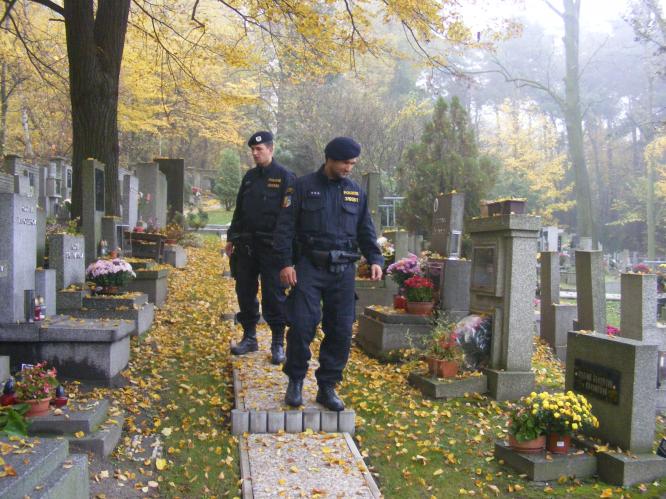 Předušičkové kontroly hřbitovů 