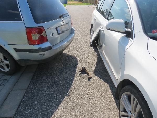 Přepychy - 29.7.2020