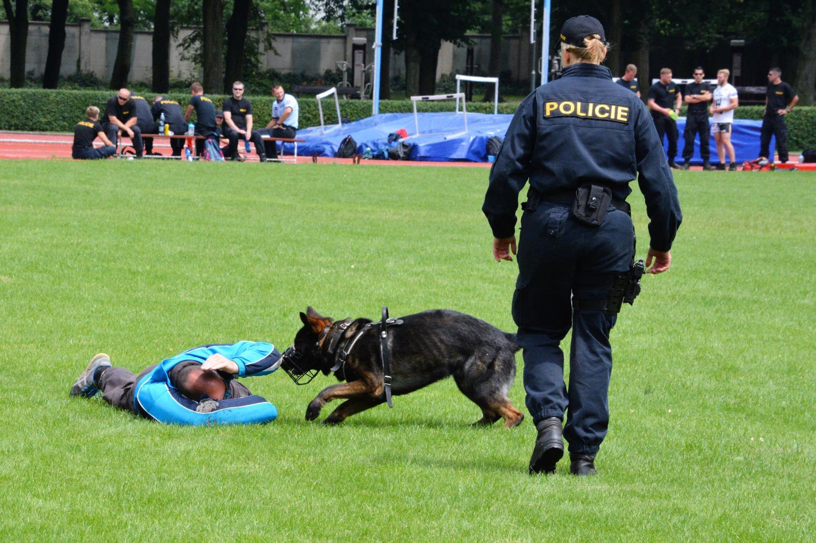 Přes bariéry s policií