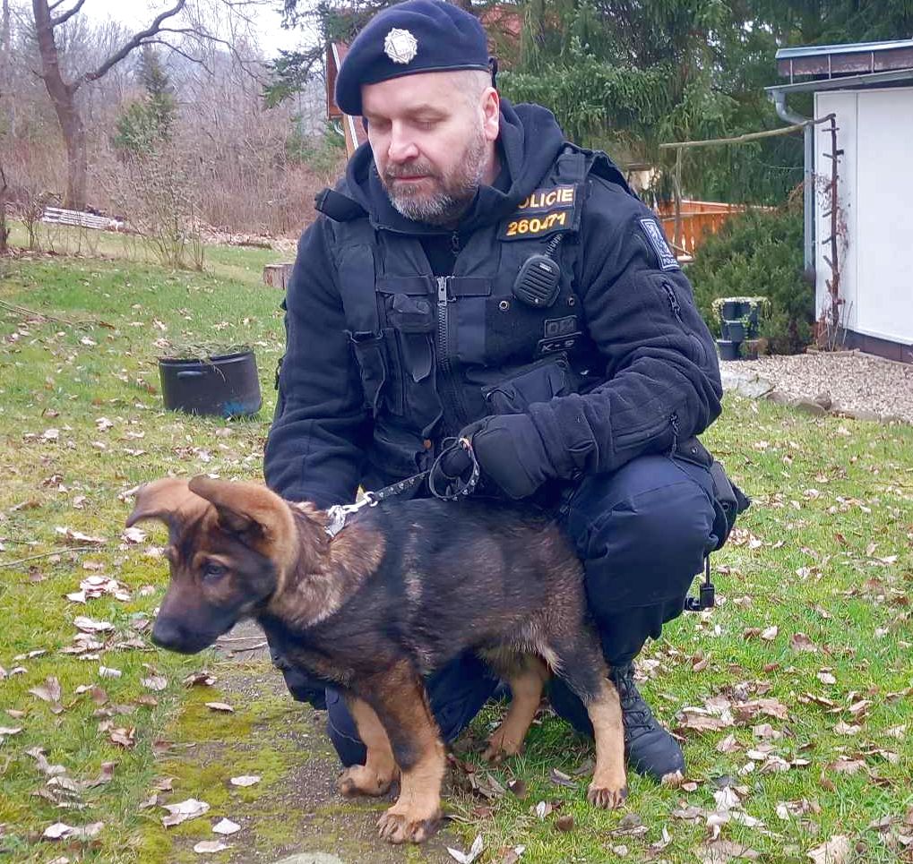 Preventivní akce