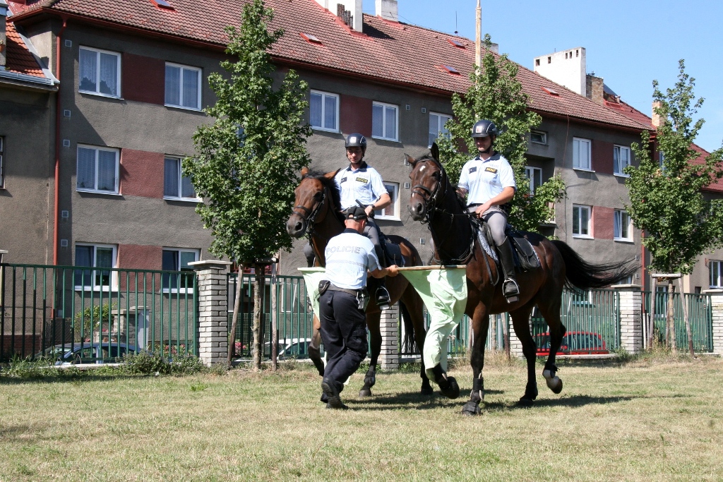 Příměstské tábory