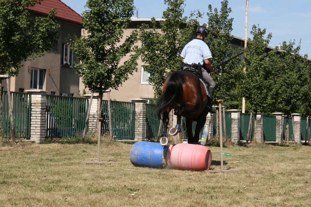 Příměstské tábory