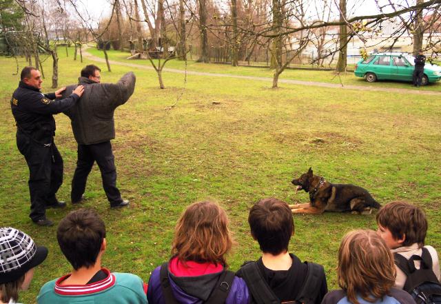 Projektové dny na ZŠ U Stadionu