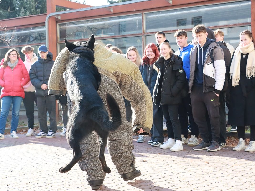 Projektový den - Trivis Prostějov